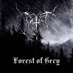 Forest Of Grey : Forest of Grey
